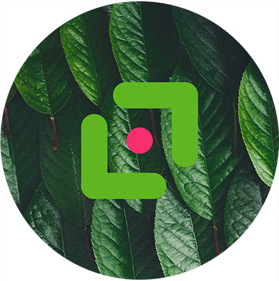 Grønne blader med grafisk ikon